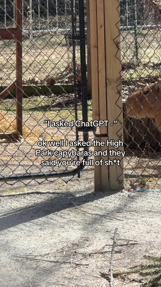 Post 5 by Chelsea! ⭐️ on TikTok (video)