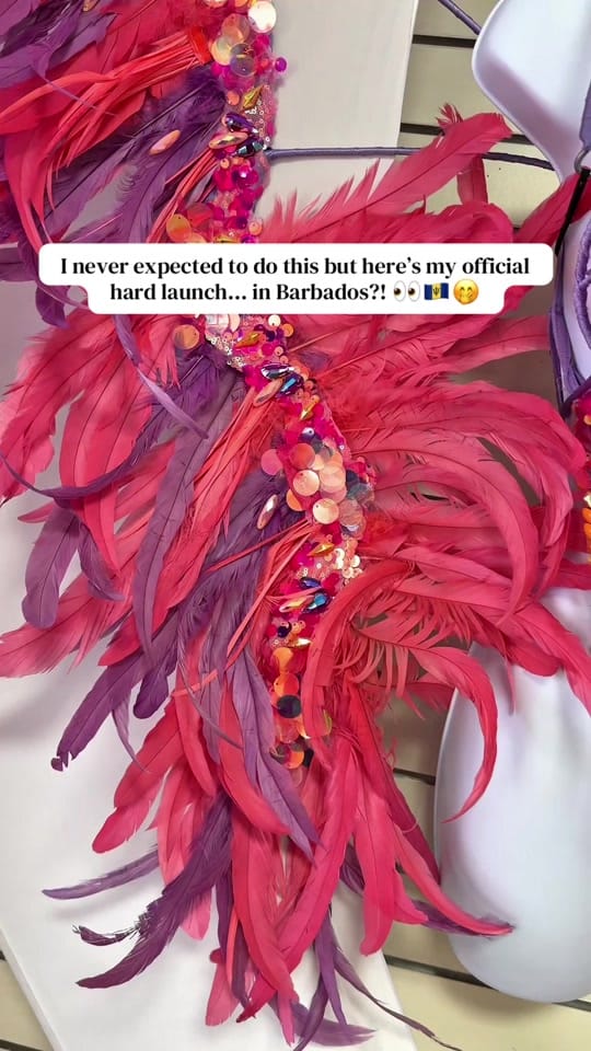 Post 8 by Anika B 💖 | beautywithbodden on TikTok (video)