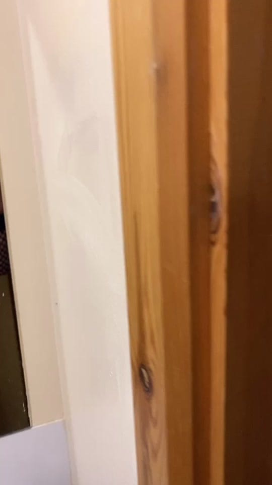 Post 7 by Lewis Selley on TikTok (video)