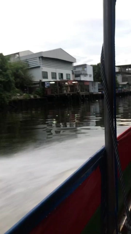 Post 4 by Lewis Selley on TikTok (video)