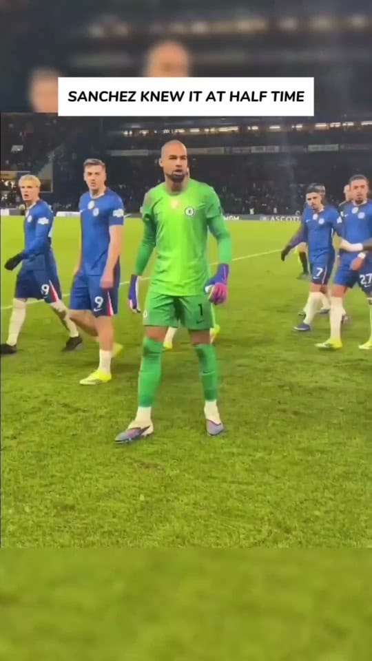 Post 2 by The Pitchside Blues on TikTok (video)