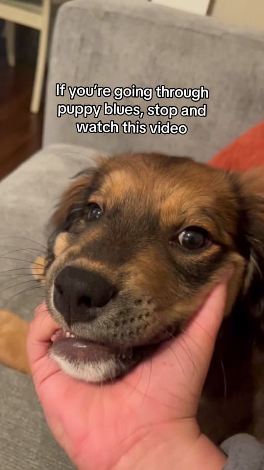 Post 10 by chelsea on TikTok (video)