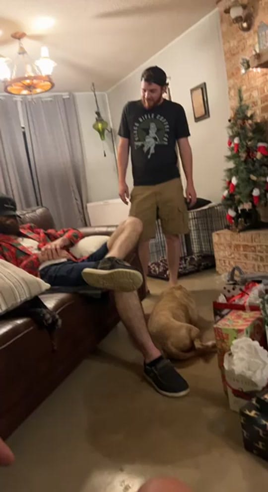 Post 7 by Mazatrox on TikTok (video)