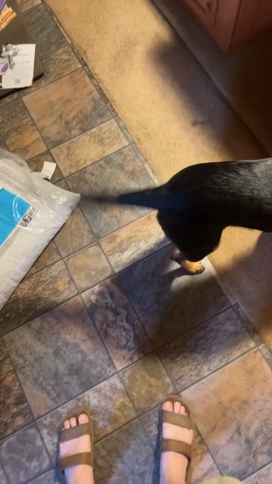 Post 1 by Mazatrox on TikTok (video)