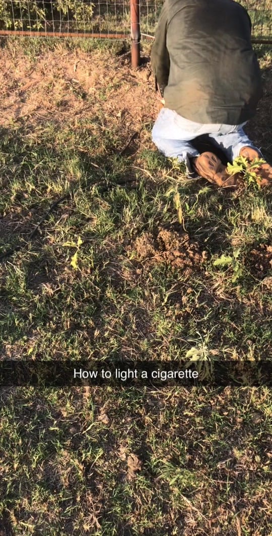 Post 9 by Mazatrox on TikTok (video)