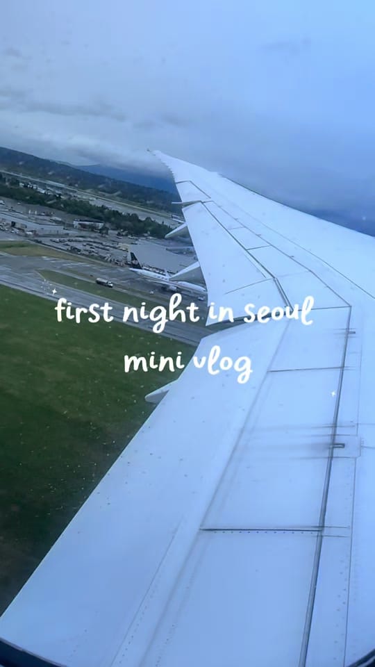 Post 8 by heyitshasini on TikTok (video)