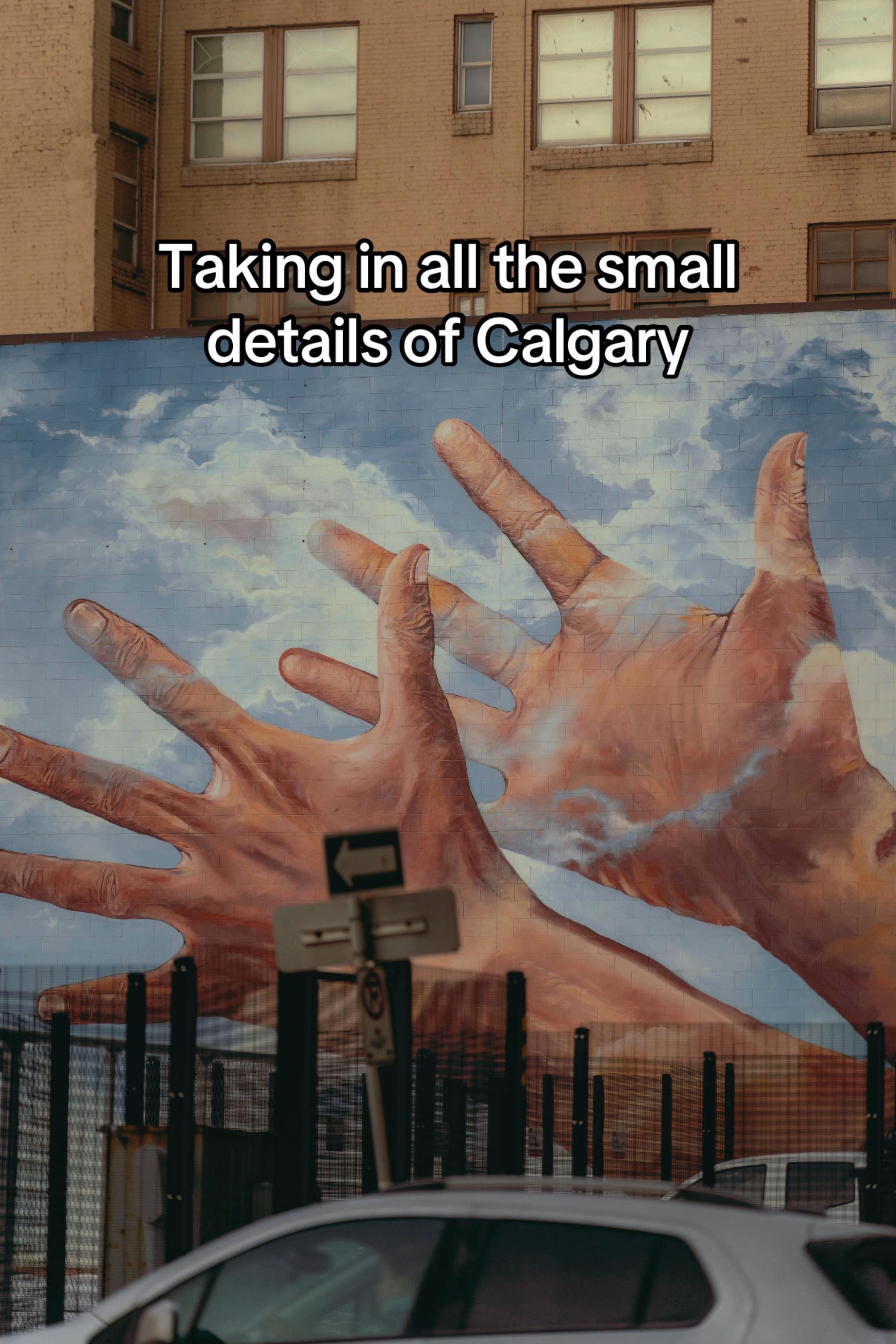Post 1 by yycstreetphotography on TikTok (video)