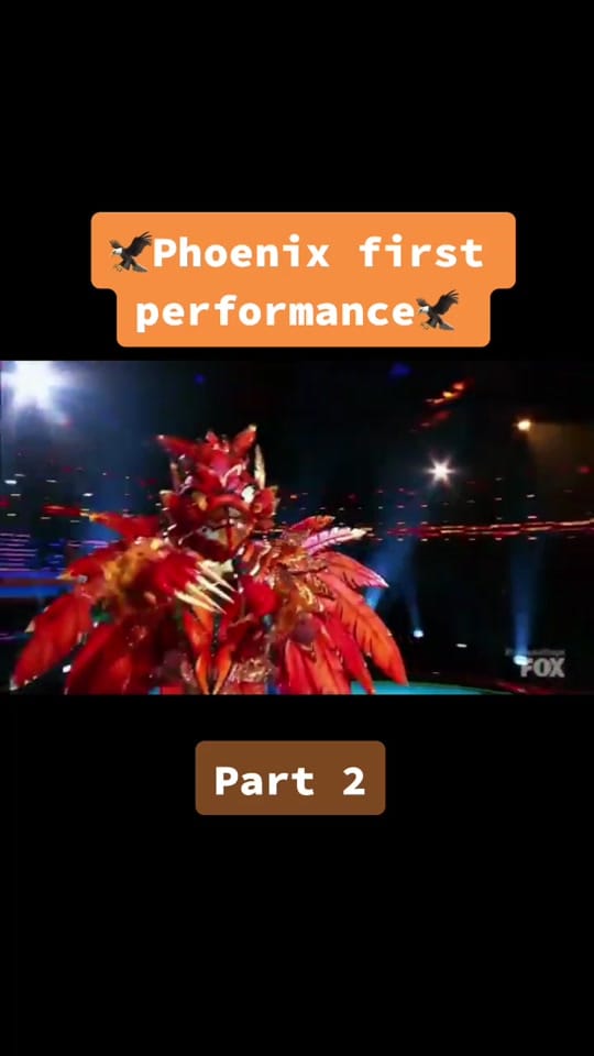 Post 10 by Masked singer/dancer😊 on TikTok (video)