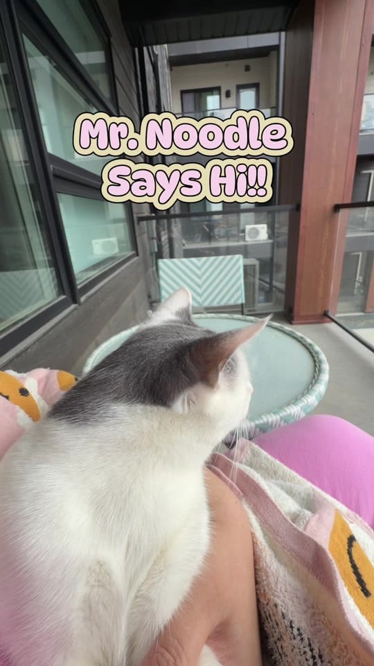 Post 1 by Kiana Cairns 🎀✨ on TikTok (video)