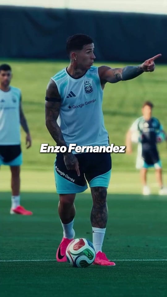 Post 5 by bluelionstv on TikTok (video)