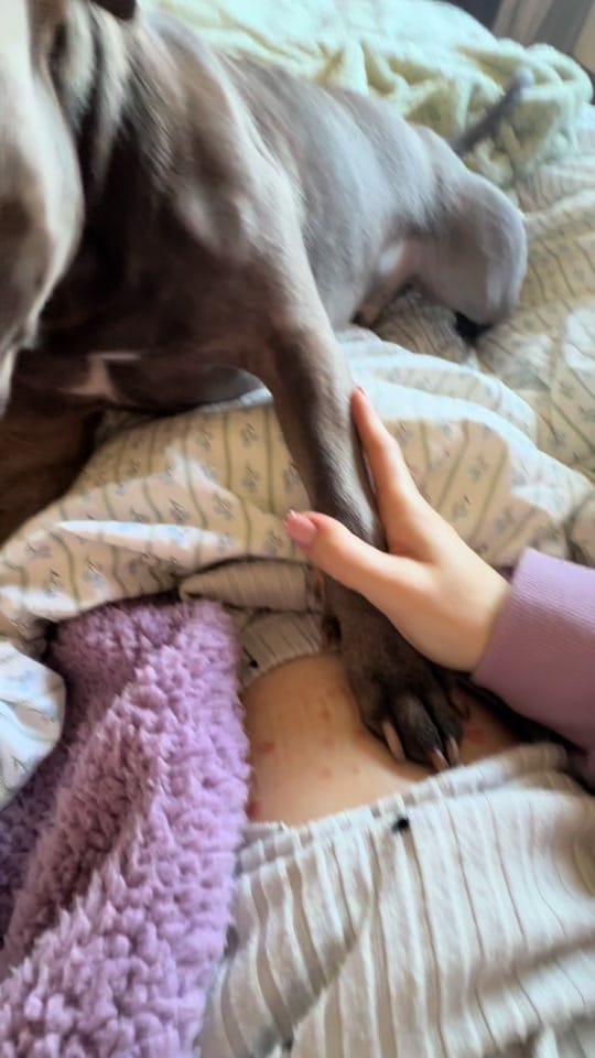 Post 9 by Littlelifebychelsea on TikTok (video)