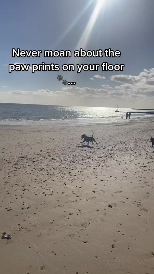 Post 10 by Littlelifebychelsea on TikTok (video)