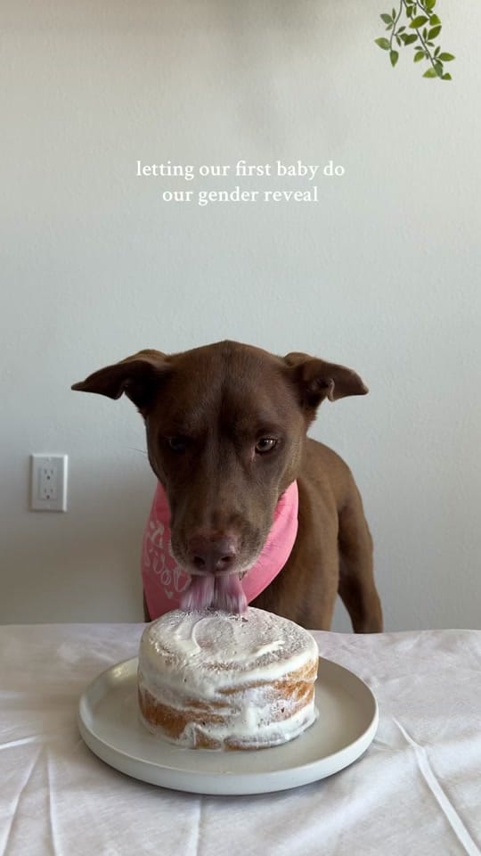 Post 9 by chels on TikTok (video)