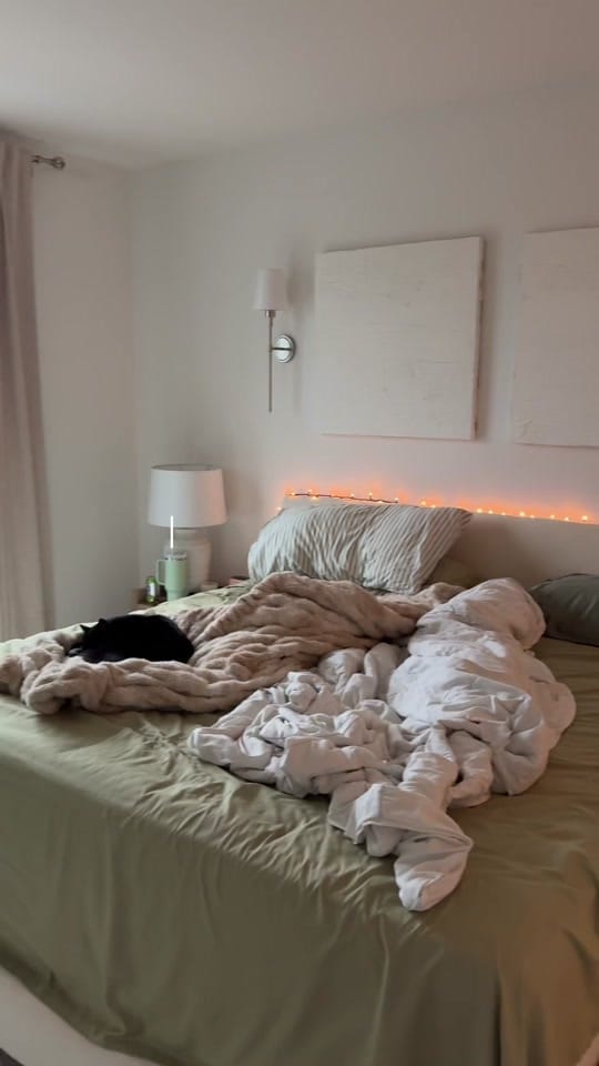 Post 8 by chels on TikTok (video)