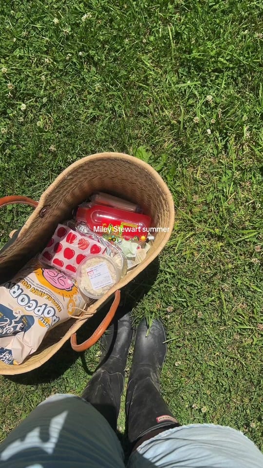 Post 8 by chelsea on TikTok (video)
