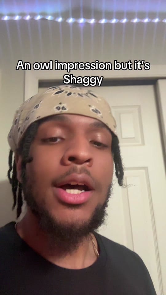 Post 5 by Josh - HufftRugs on TikTok (video)