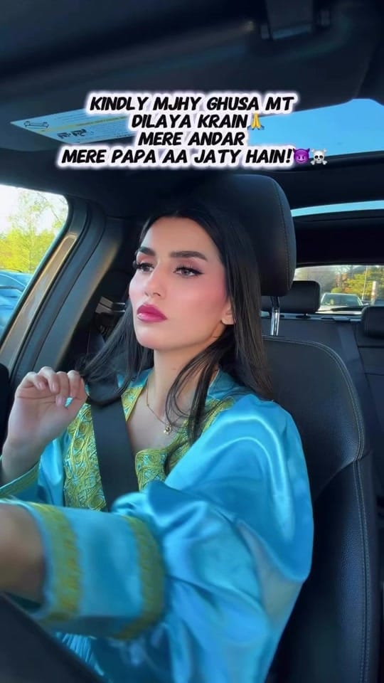 Post 4 by nidagulkhan🇵🇰🇺🇸 on TikTok (video)