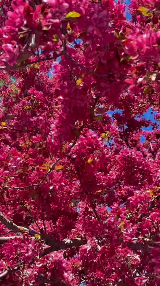 Post 1 by Val on TikTok (video)