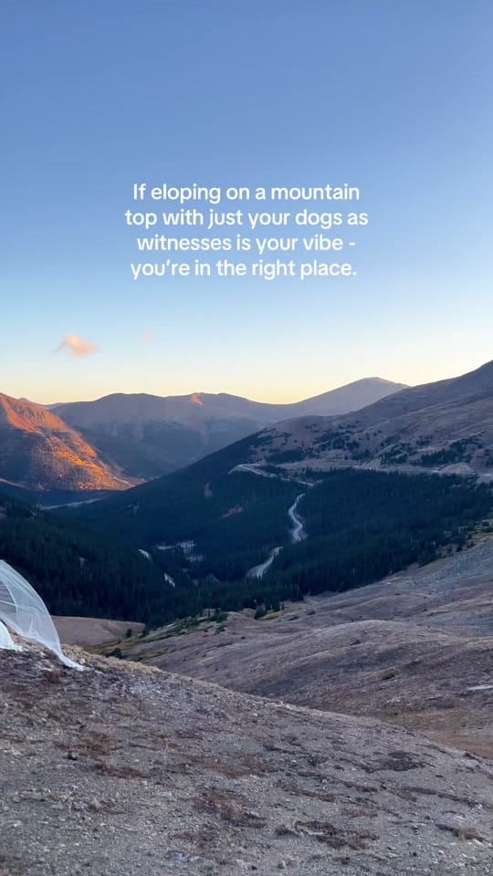 Post 7 by Authentic Collective Photo on TikTok (video)
