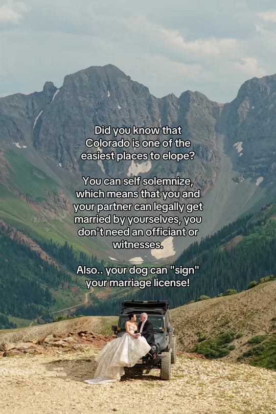 Post 9 by Authentic Collective Photo on TikTok (video)