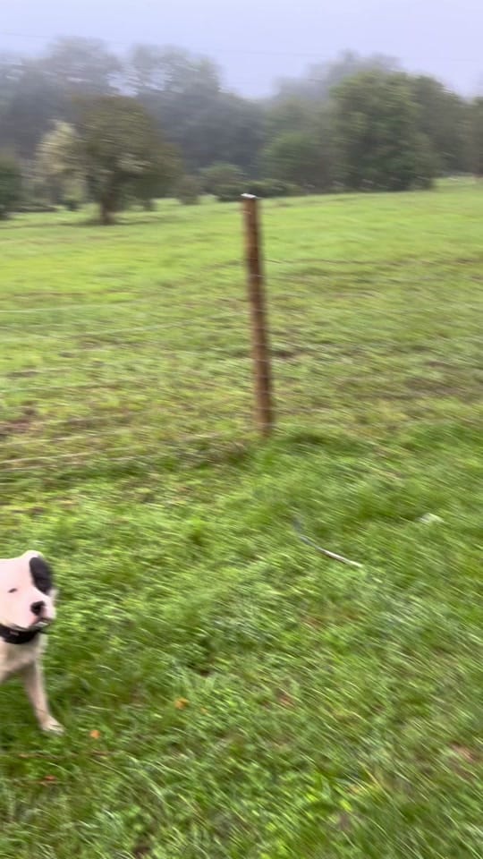 Post 4 by Flawda_cowboy1 on TikTok (video)