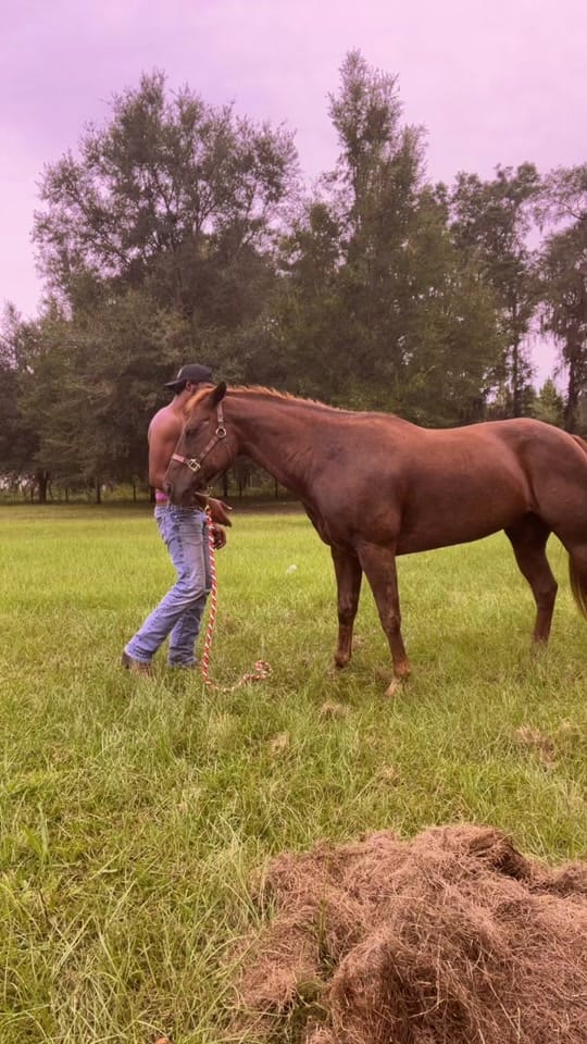 Post 5 by Flawda_cowboy1 on TikTok (video)