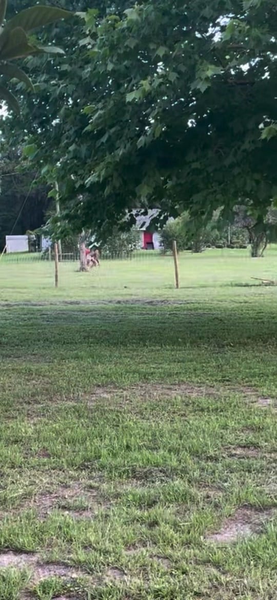 Post 2 by Flawda_cowboy1 on TikTok (video)