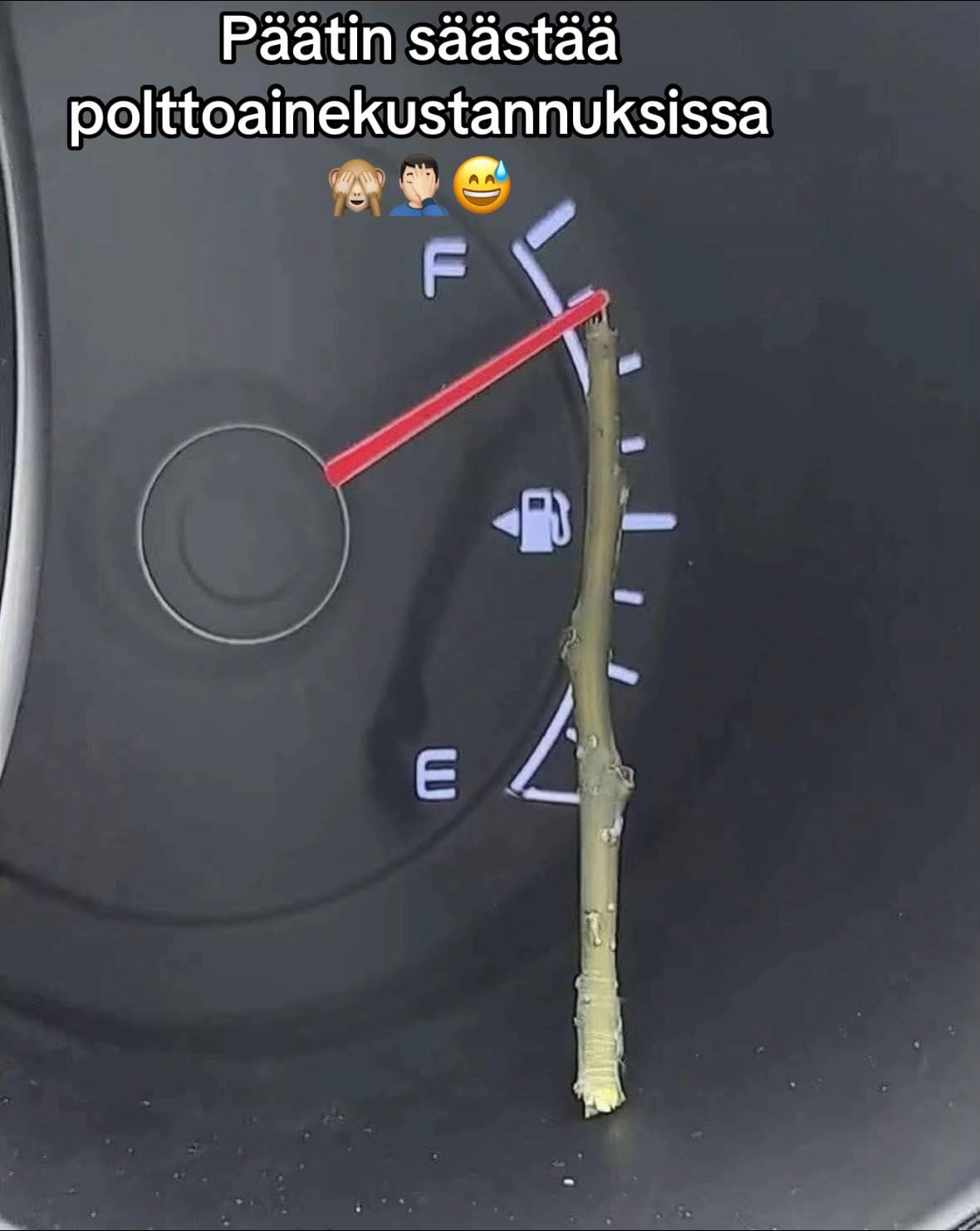 Post 6 by XL Sami 👍 IG : xlsamiofficial on TikTok (video)