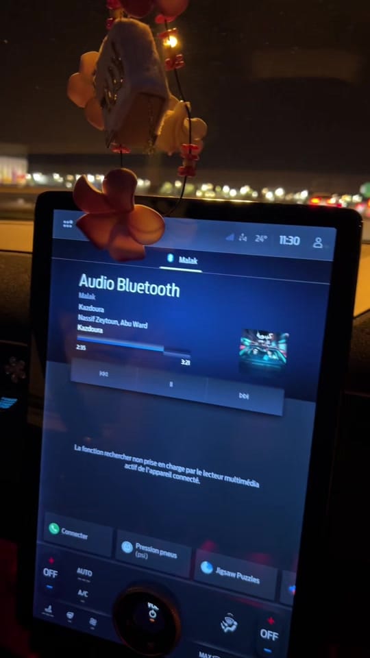 Post 3 by Sally on TikTok (video)