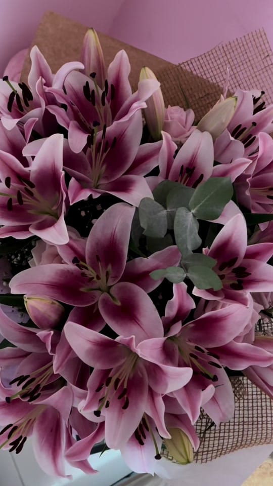 Post 2 by Chels 🎀 on TikTok (video)