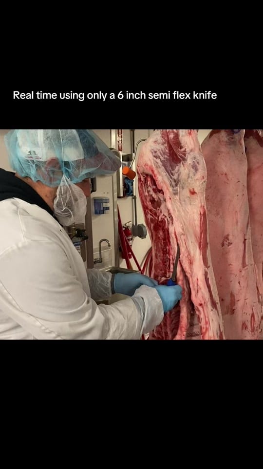 Post 3 by Travis stockstill on TikTok (video)