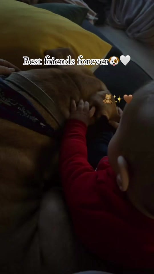 Post 1 by Chelsea | Giovanni🩵 on TikTok (video)