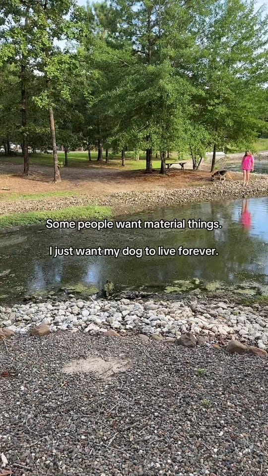 Post 1 by thewildtexan on TikTok (video)