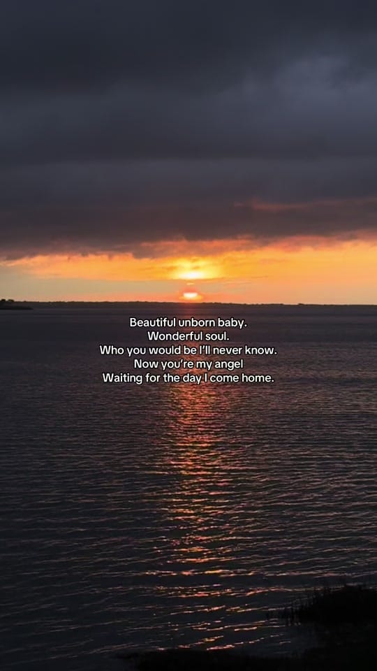 Post 2 by thewildtexan on TikTok (video)