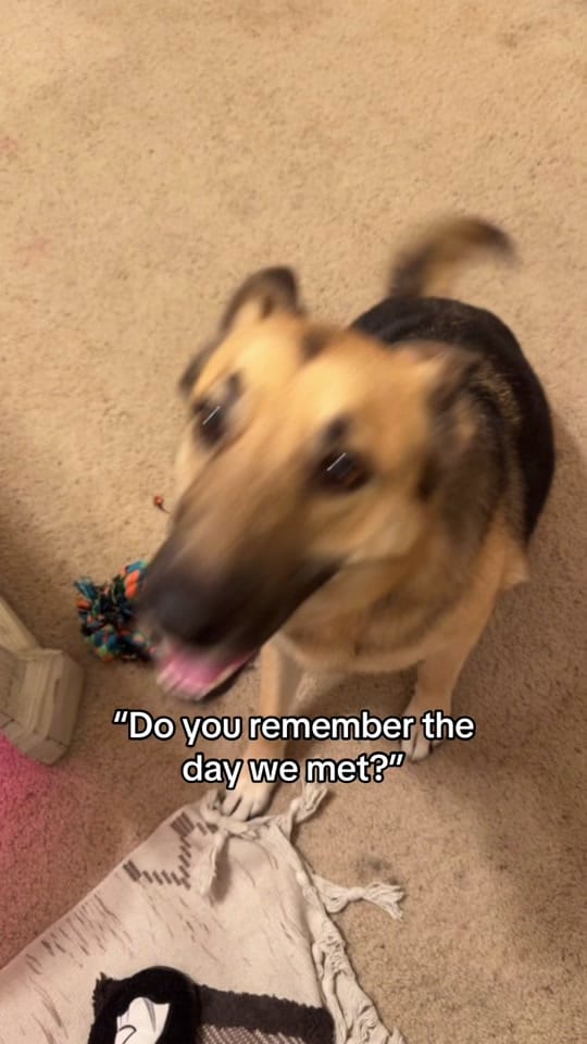 Post 10 by thewildtexan on TikTok (video)