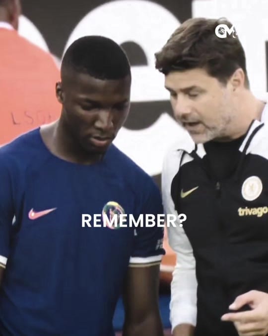 Post 5 by CM8 on TikTok (video)
