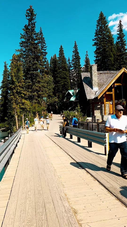 Post 10 by Lost In Canada on TikTok (video)