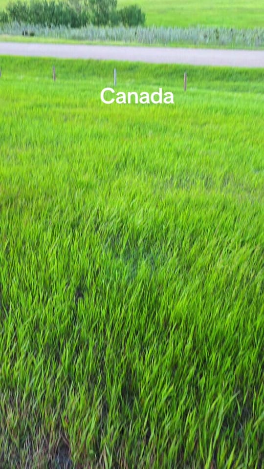 Post 6 by Lost In Canada on TikTok (video)