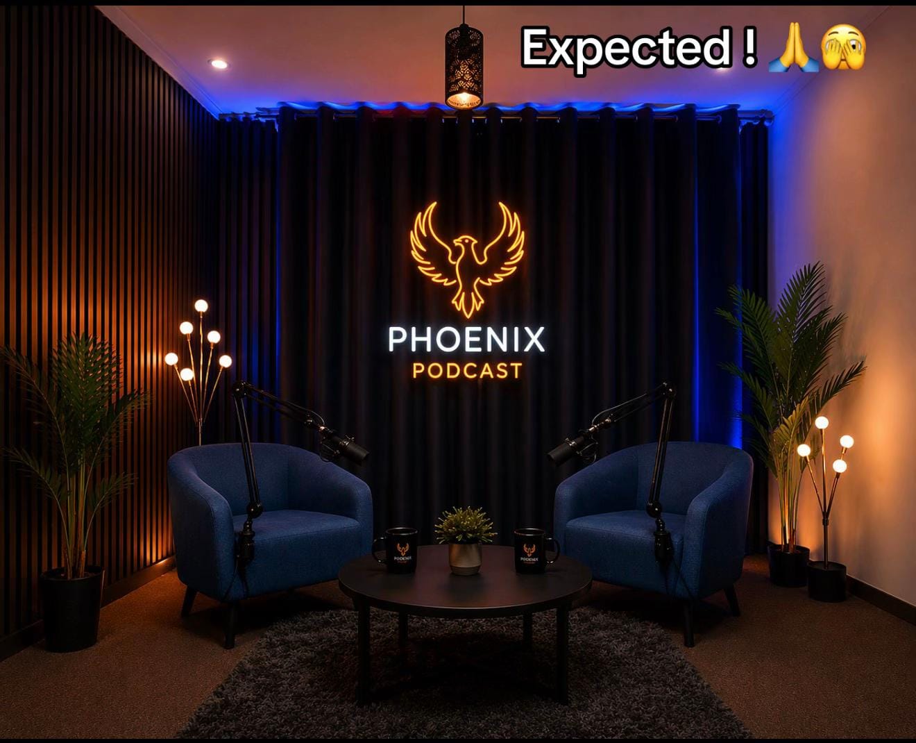 Post 9 by PHOENIX🐦‍🔥PODCAST🎙️ on TikTok (video)
