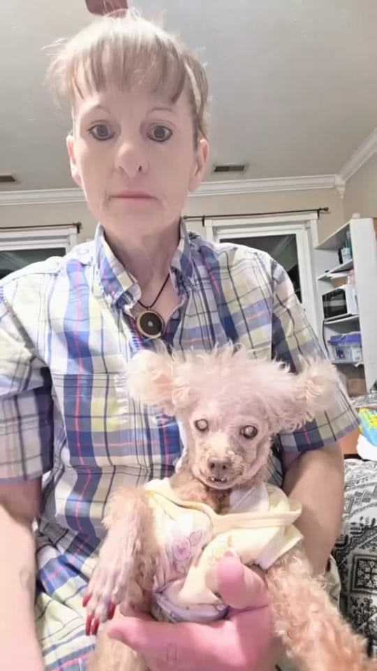 Post 1 by Gary on TikTok (video)