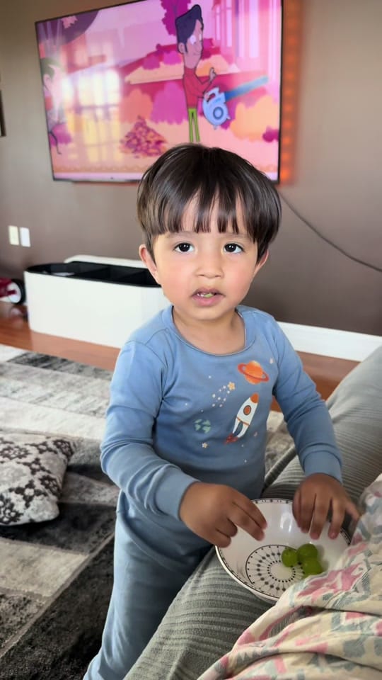 Post 8 by The Misha Family🇵🇰🇨🇦 on TikTok (video)