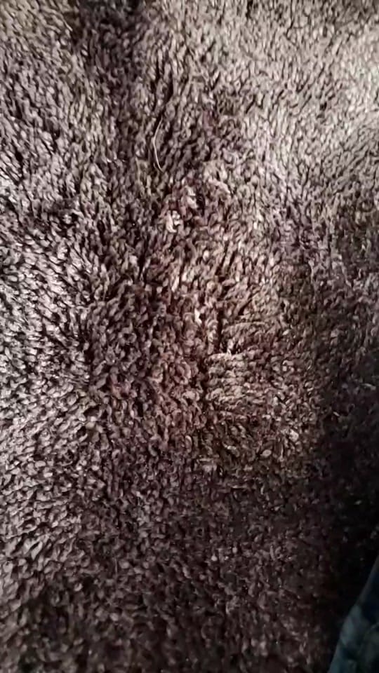 Post 7 by Dustin Lopedota on TikTok (video)