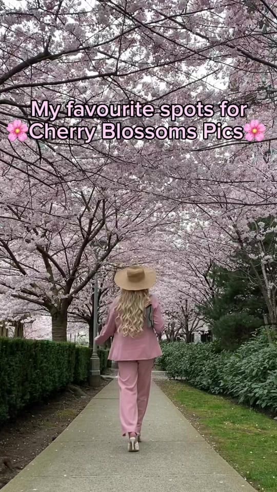 Post 1 by Eleni on TikTok (video)