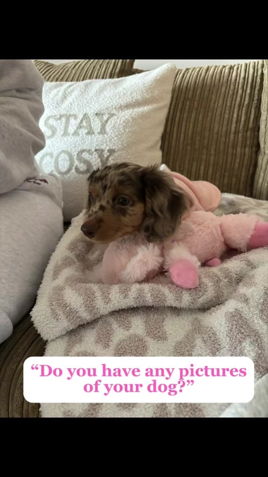 Post 10 by Chelseaherlo on TikTok (video)