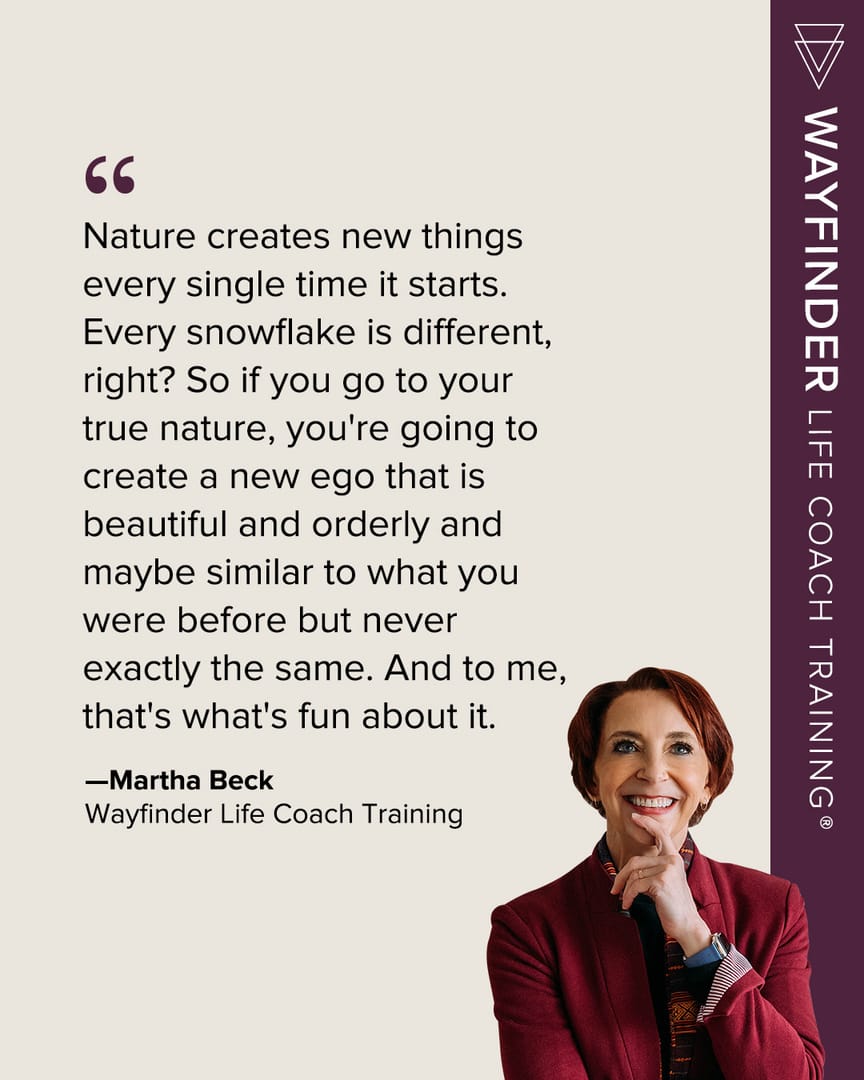 Post 7 by Martha Beck on TikTok (video)
