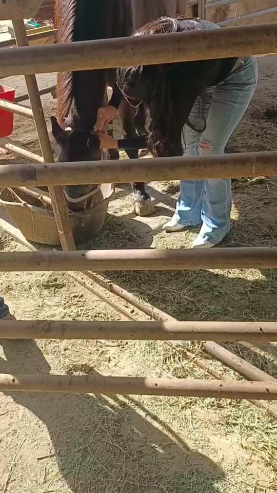 Post 7 by Cassidy Carrillo on TikTok (video)