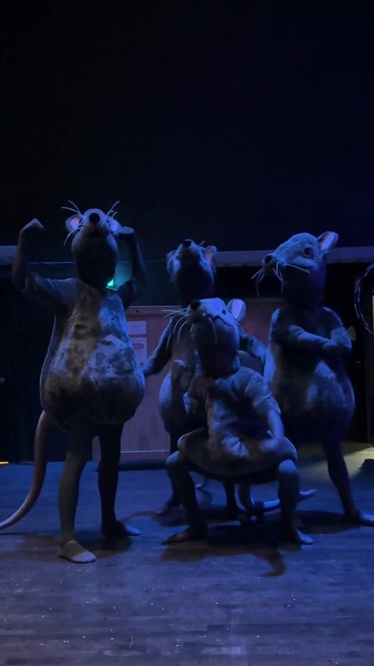 Post 7 by Pacific Northwest Ballet on TikTok (video)