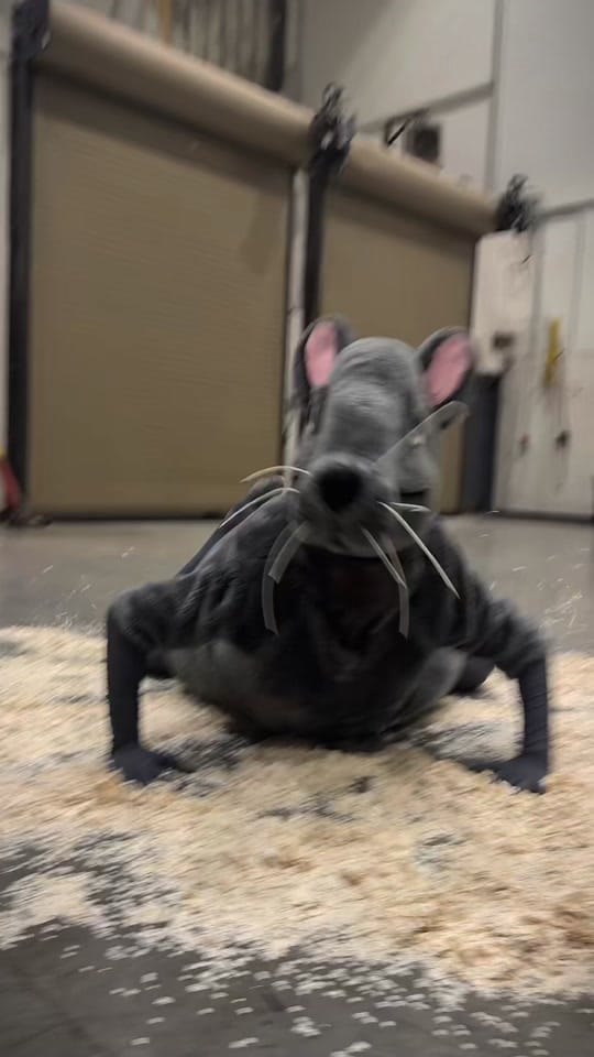 Post 9 by Pacific Northwest Ballet on TikTok (video)