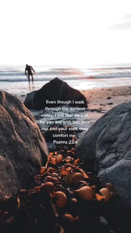 Post 10 by DIRECT ACTION USA on TikTok (video)