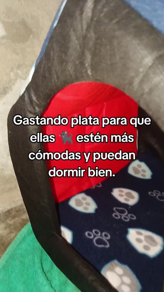Post 6 by 𝕵𝖔𝖘é 𝕯𝖆𝖓𝖎𝖊𝖑 🇪🇨 on TikTok (video)